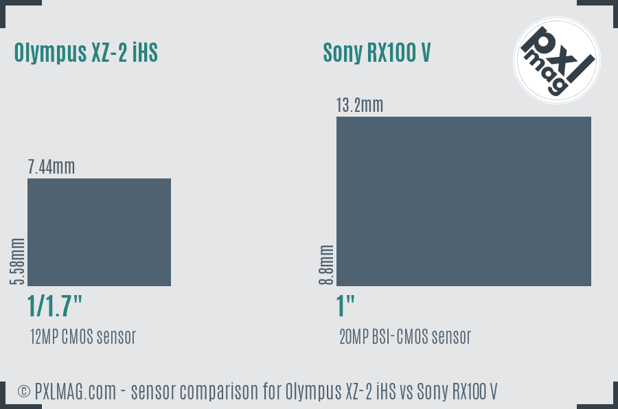 Olympus XZ-2 iHS vs Sony RX100 V sensor size comparison