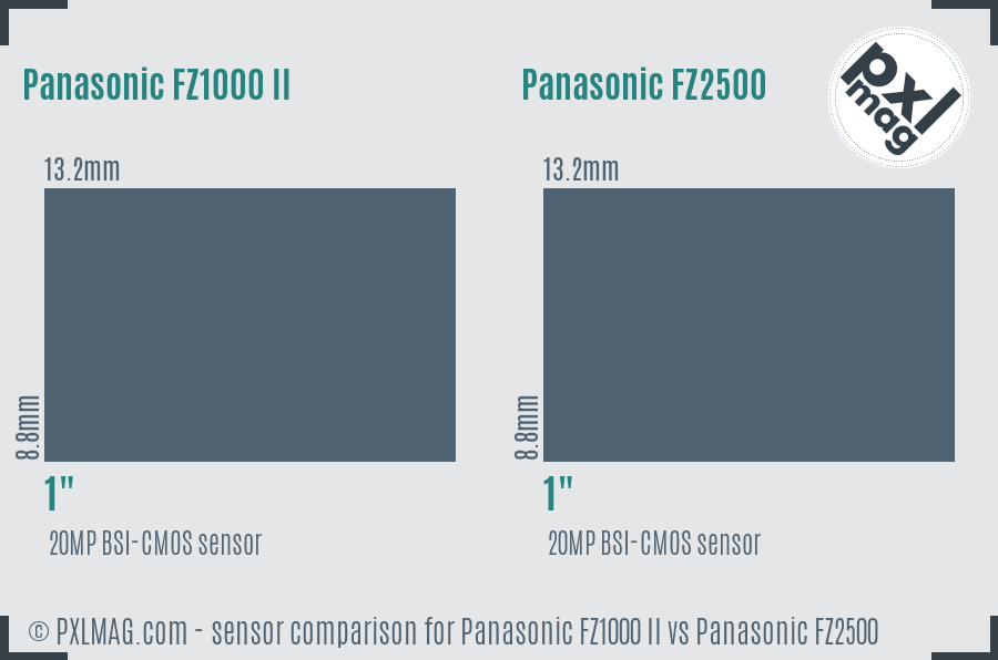 Panasonic FZ1000 II vs Panasonic FZ2500 sensor size comparison