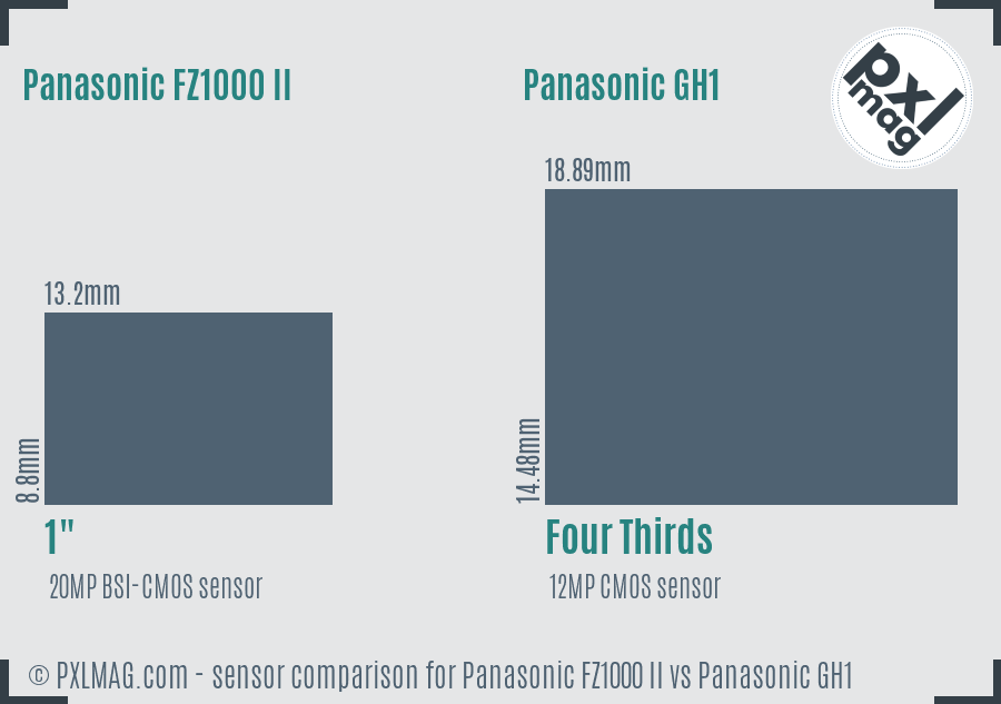 Panasonic FZ1000 II vs Panasonic GH1 sensor size comparison Panasonic FZ1000 II vs Panasonic GH1 sensor size comparison