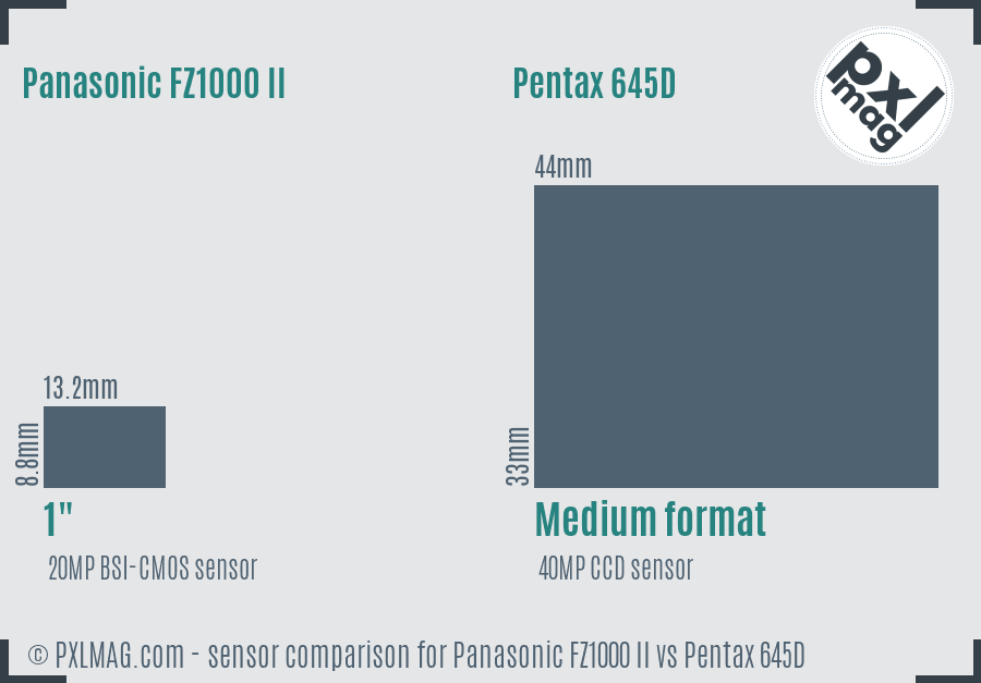 Panasonic FZ1000 II vs Pentax 645D sensor size comparison