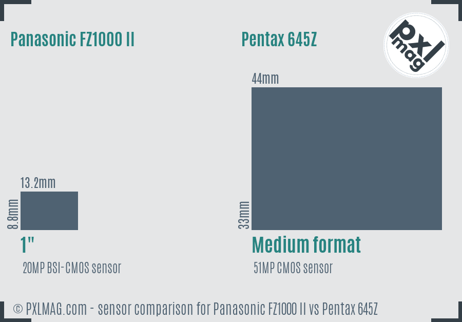 Panasonic FZ1000 II vs Pentax 645Z sensor size comparison