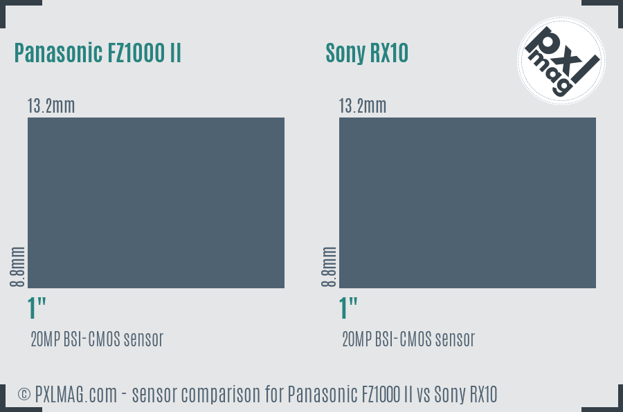 Panasonic FZ1000 II vs Sony RX10 sensor size comparison
