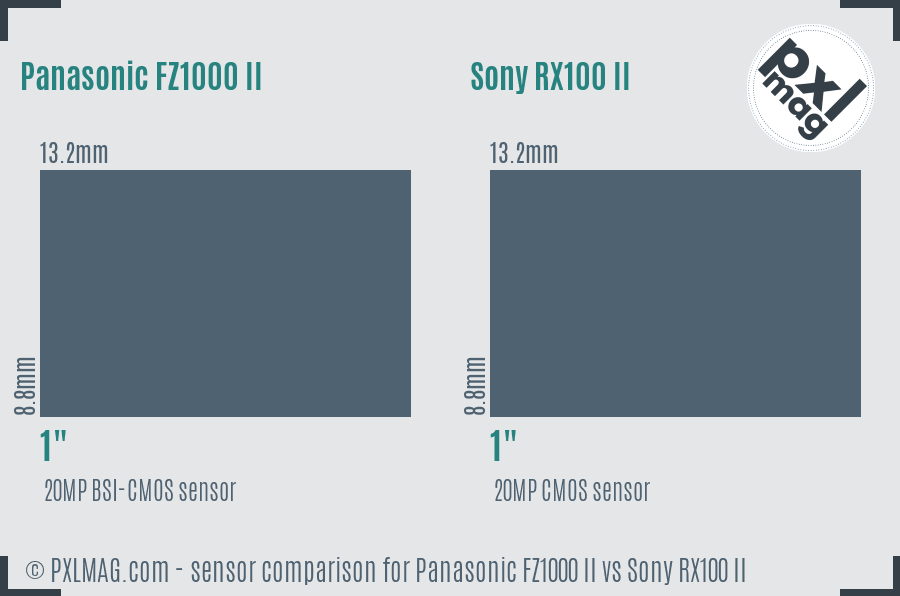 Panasonic FZ1000 II vs Sony RX100 II sensor size comparison