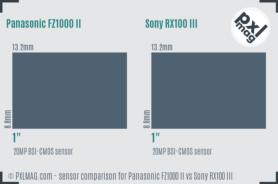 Panasonic FZ1000 II vs Sony RX100 III sensor size comparison