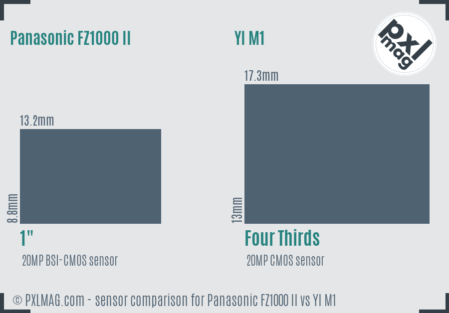 Panasonic FZ1000 II vs YI M1 sensor size comparison