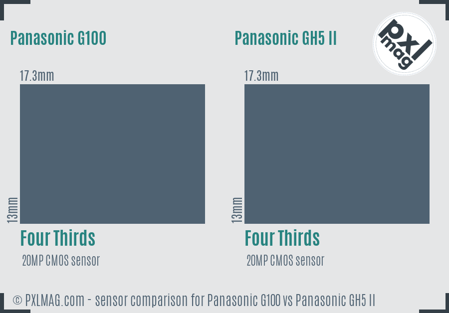 Panasonic G100 vs Panasonic GH5 II sensor size comparison