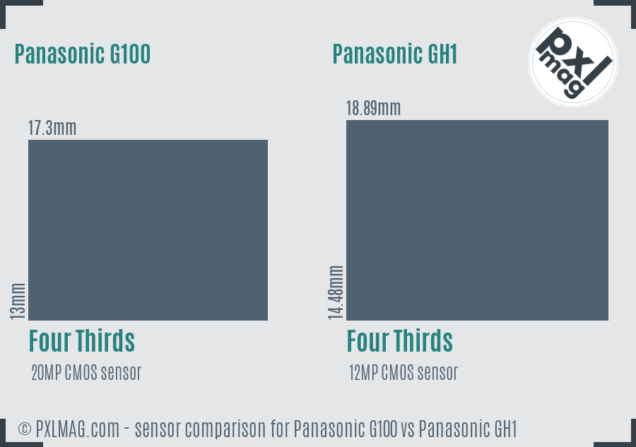Panasonic G100 vs Panasonic GH1 sensor size comparison