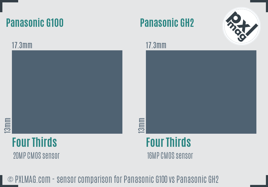 Panasonic G100 vs Panasonic GH2 sensor size comparison