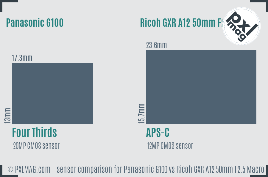 Panasonic G100 vs Ricoh GXR A12 50mm F2.5 Macro sensor size comparison