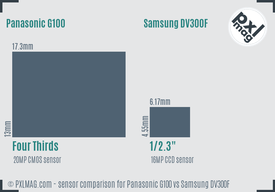 Panasonic G100 vs Samsung DV300F sensor size comparison