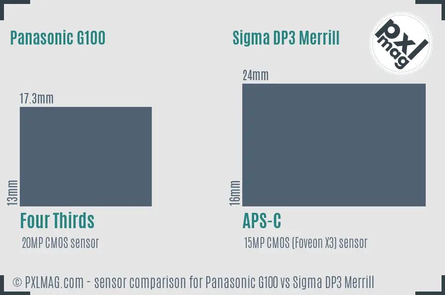 Panasonic G100 vs Sigma DP3 Merrill sensor size comparison Panasonic G100 vs Sigma DP3 Merrill sensor size comparison