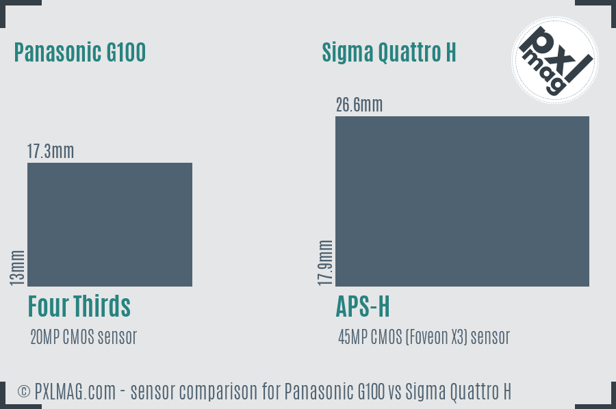 Panasonic G100 vs Sigma Quattro H sensor size comparison