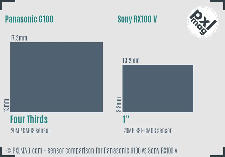 Panasonic G100 vs Sony RX100 V sensor size comparison