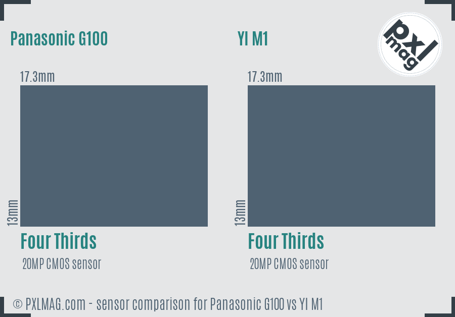 Panasonic G100 vs YI M1 sensor size comparison