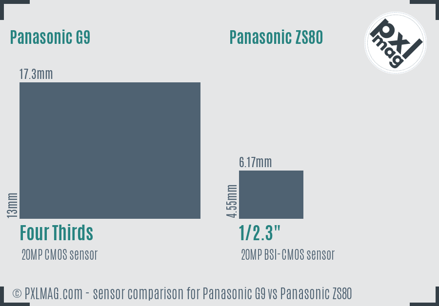 Panasonic G9 vs Panasonic ZS80 sensor size comparison