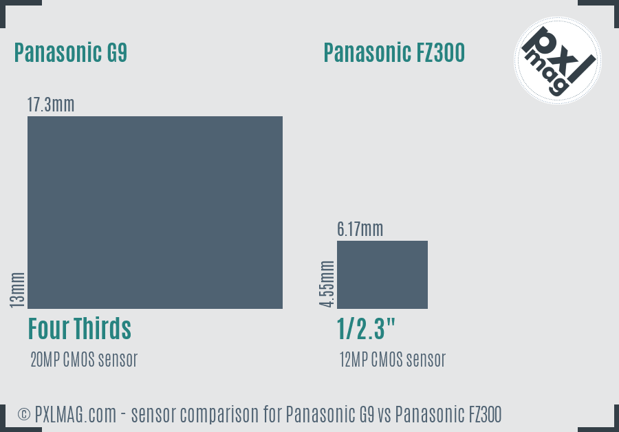 Panasonic G9 vs Panasonic FZ300 sensor size comparison