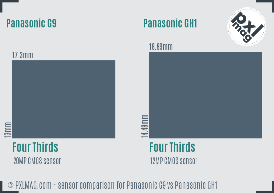 Panasonic G9 vs Panasonic GH1 sensor size comparison