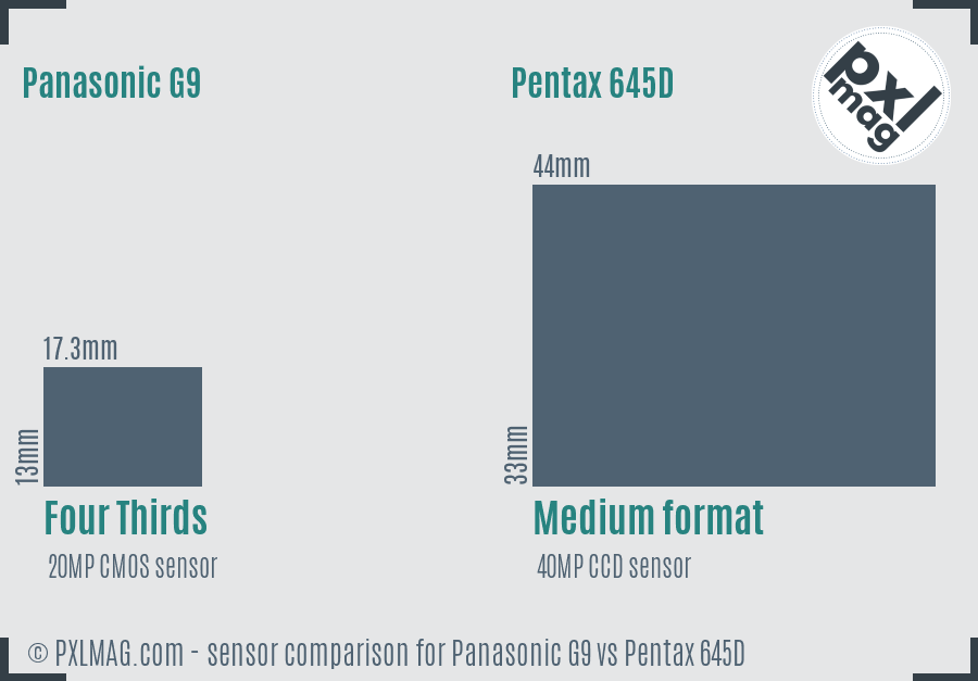 Panasonic G9 vs Pentax 645D sensor size comparison