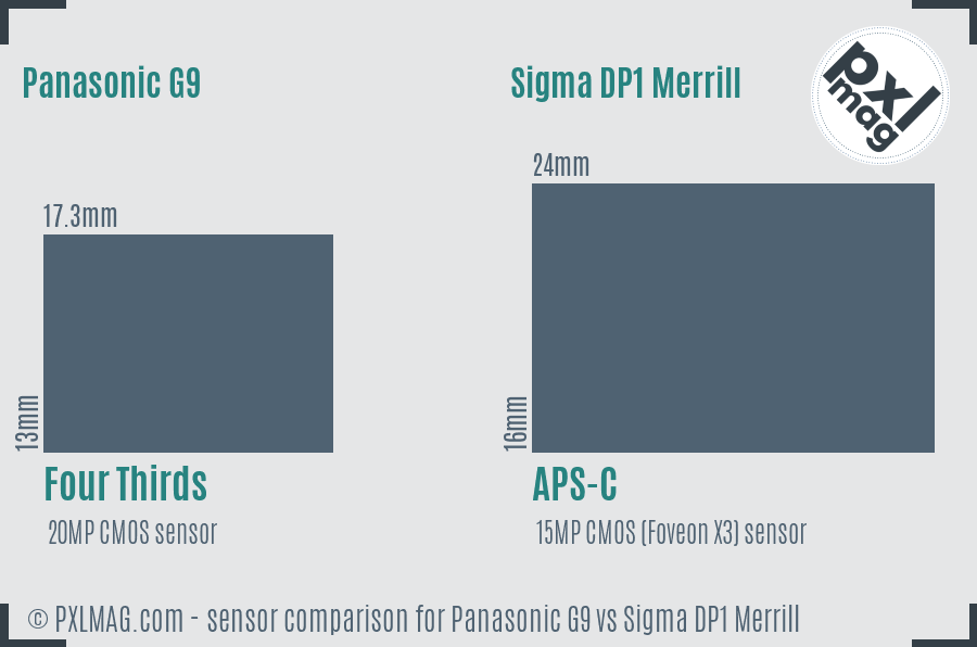 Panasonic G9 vs Sigma DP1 Merrill sensor size comparison Panasonic G9 vs Sigma DP1 Merrill sensor size comparison