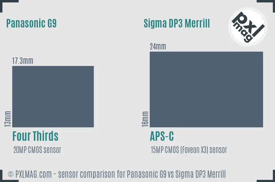 Panasonic G9 vs Sigma DP3 Merrill sensor size comparison Panasonic G9 vs Sigma DP3 Merrill sensor size comparison