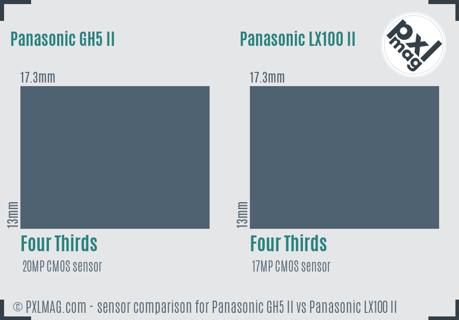 Panasonic GH5 II vs Panasonic LX100 II sensor size comparison Panasonic GH5 II vs Panasonic LX100 II sensor size comparison