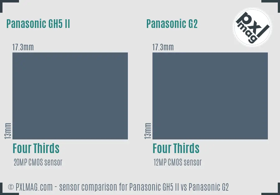 Panasonic GH5 II vs Panasonic G2 sensor size comparison