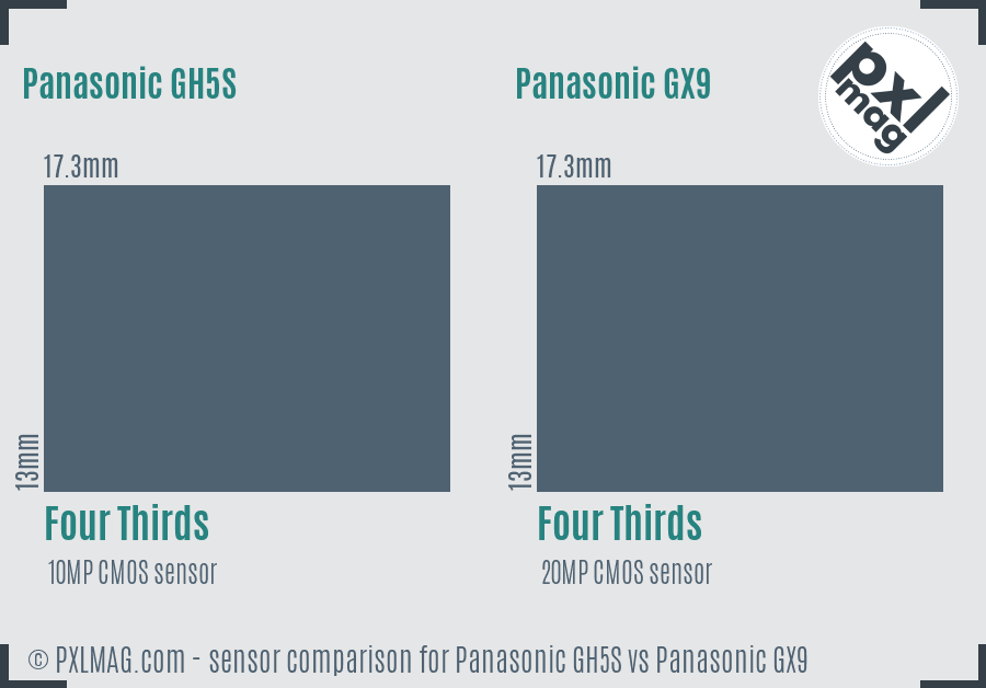 Panasonic GH5S vs Panasonic GX9 sensor size comparison