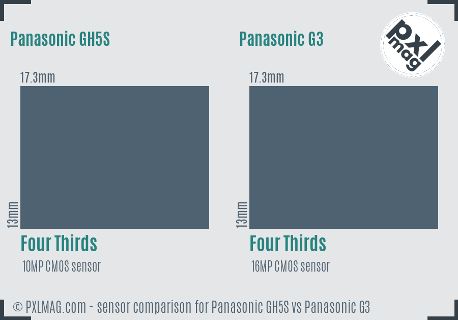 Panasonic GH5S vs Panasonic G3 sensor size comparison