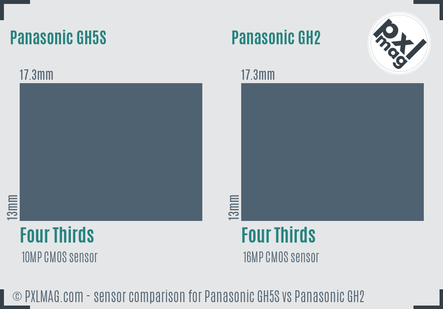 Panasonic GH5S vs Panasonic GH2 sensor size comparison