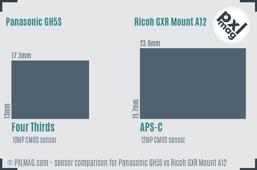 Panasonic GH5S vs Ricoh GXR Mount A12 sensor size comparison