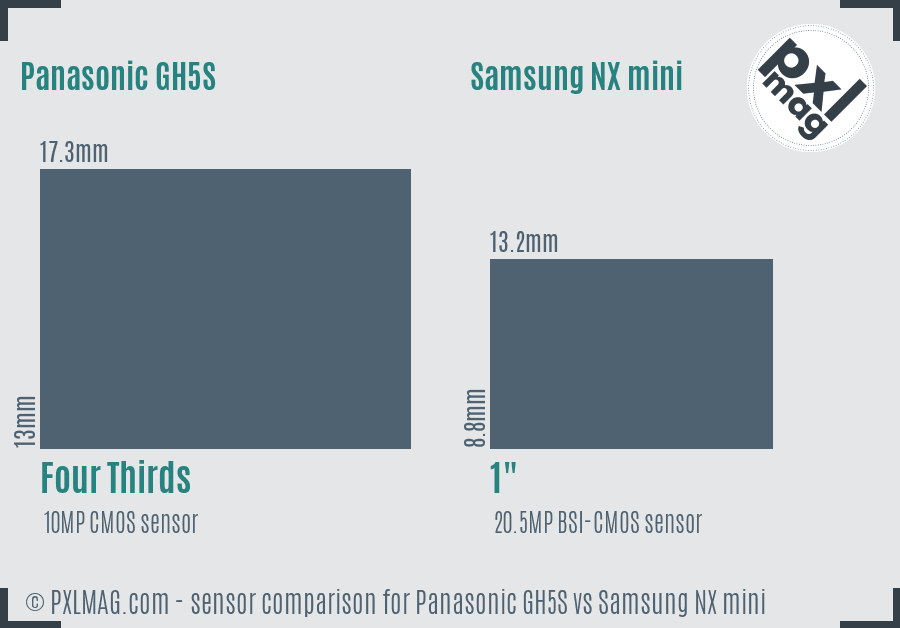 Panasonic GH5S vs Samsung NX mini sensor size comparison