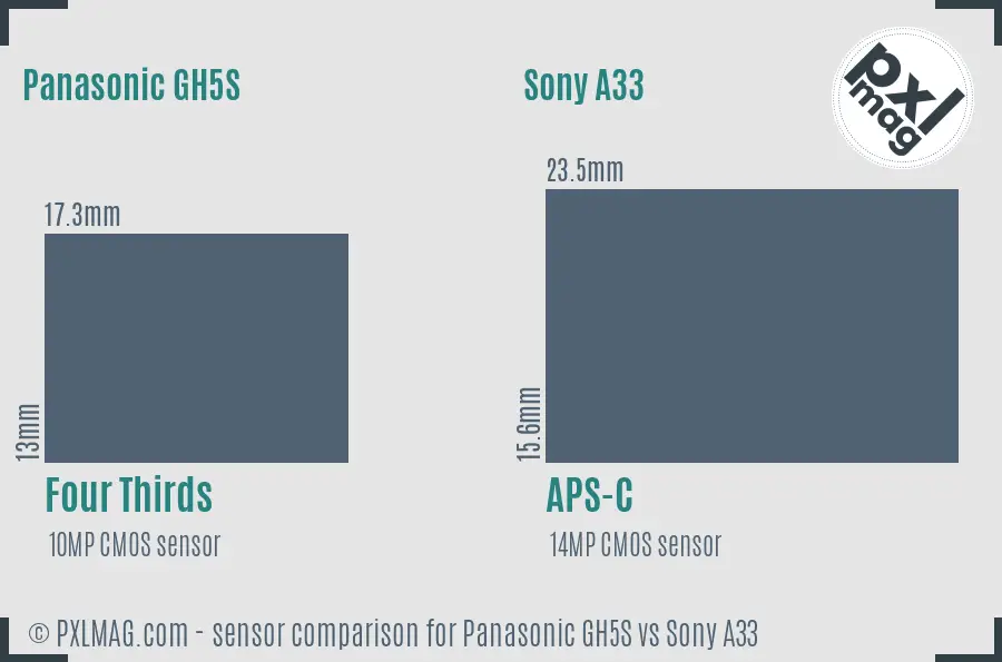 Panasonic GH5S vs Sony A33 sensor size comparison