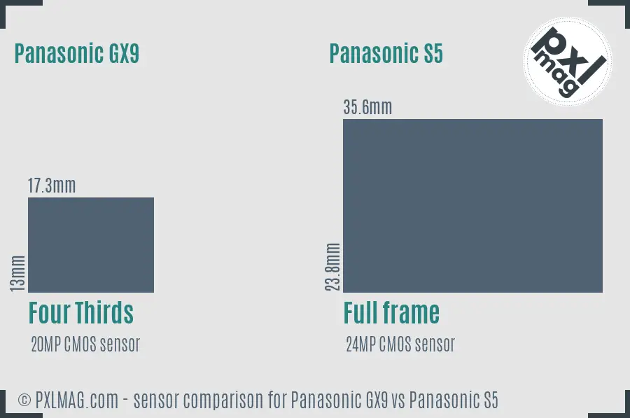 Panasonic GX9 vs Panasonic S5 sensor size comparison