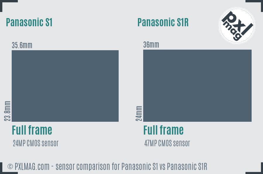 Panasonic S1 vs Panasonic S1R sensor size comparison