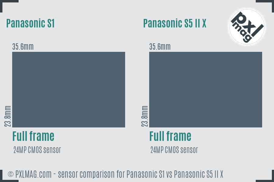 Panasonic S1 vs Panasonic S5 II X sensor size comparison