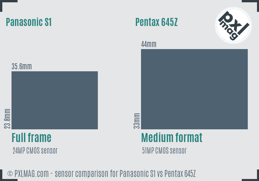 Panasonic S1 vs Pentax 645Z sensor size comparison