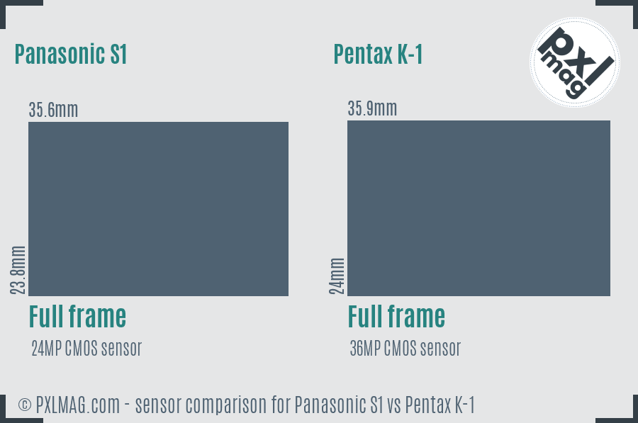 Panasonic S1 vs Pentax K-1 sensor size comparison