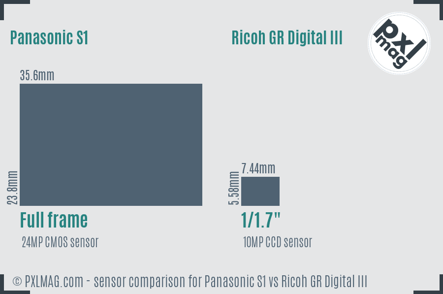 Panasonic S1 vs Ricoh GR Digital III sensor size comparison