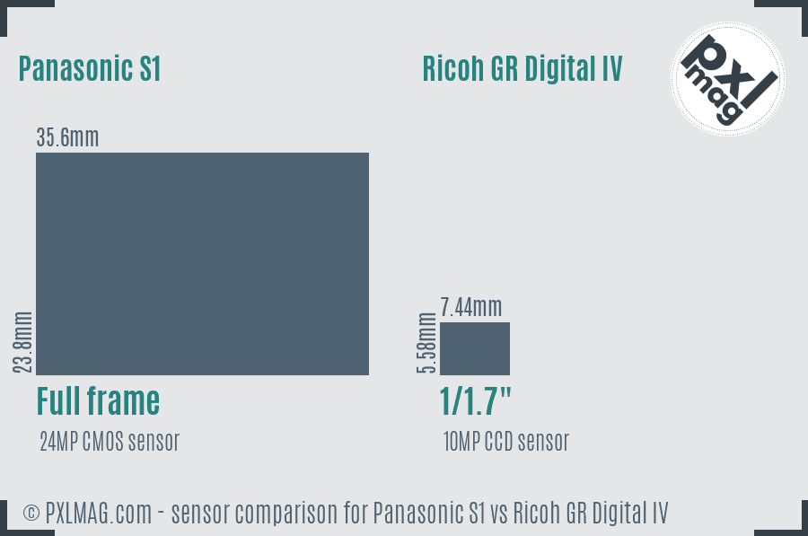 Panasonic S1 vs Ricoh GR Digital IV sensor size comparison
