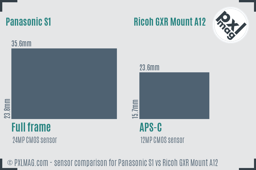 Panasonic S1 vs Ricoh GXR Mount A12 sensor size comparison