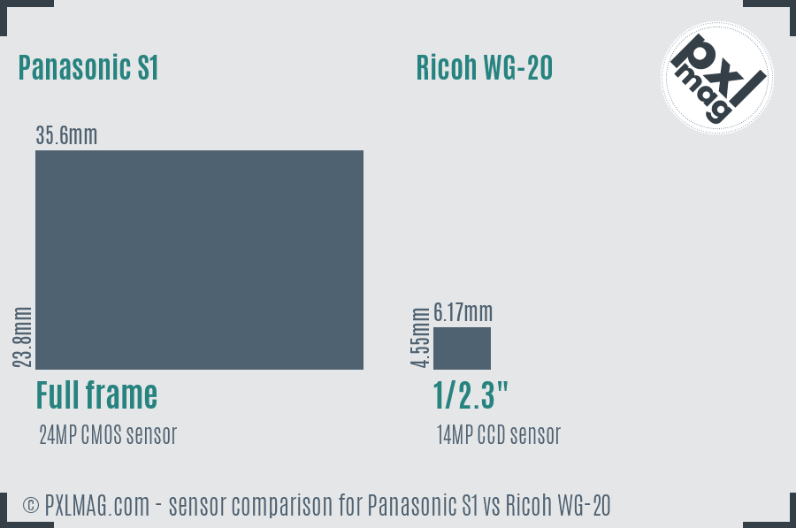 Panasonic S1 vs Ricoh WG-20 sensor size comparison