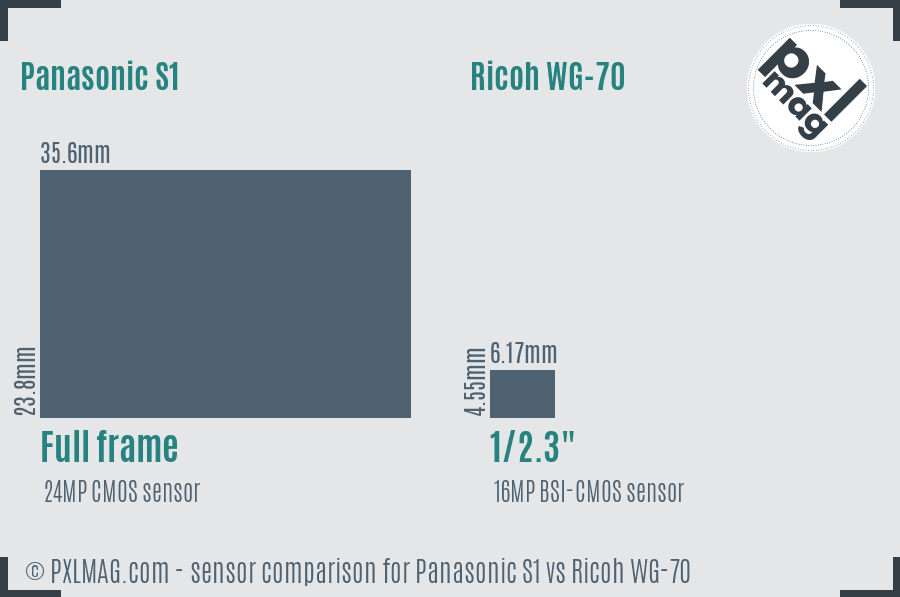 Panasonic S1 vs Ricoh WG-70 sensor size comparison