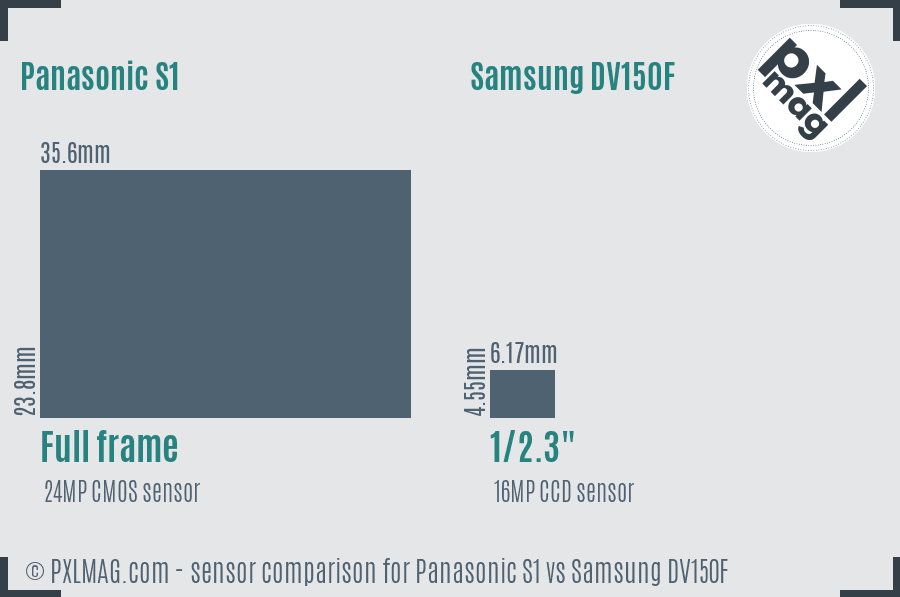 Panasonic S1 vs Samsung DV150F sensor size comparison