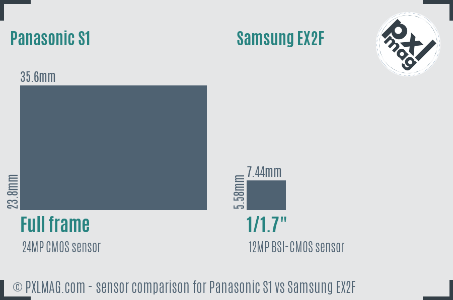 Panasonic S1 vs Samsung EX2F sensor size comparison