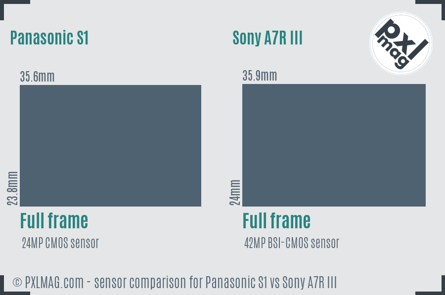 Panasonic S1 vs Sony A7R III sensor size comparison