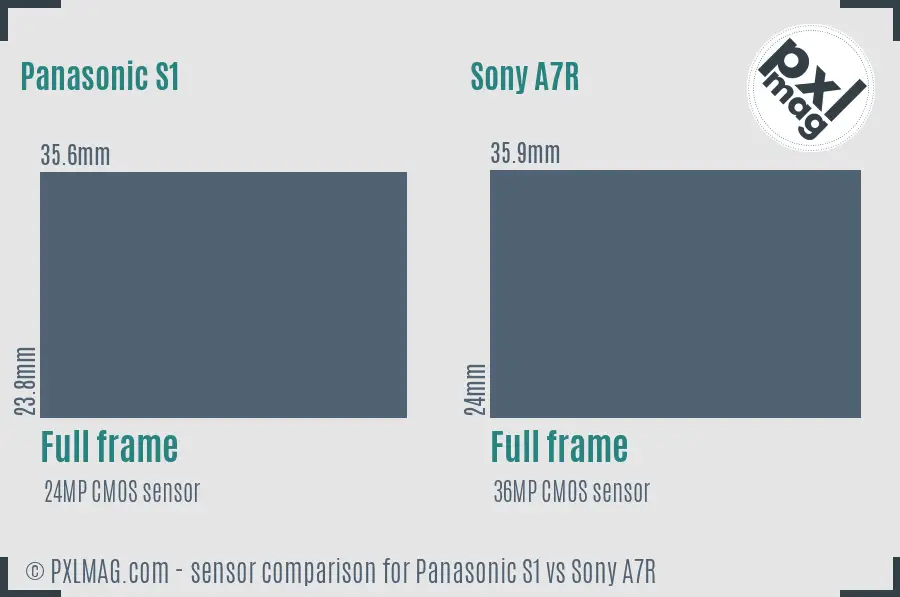 Panasonic S1 vs Sony A7R sensor size comparison