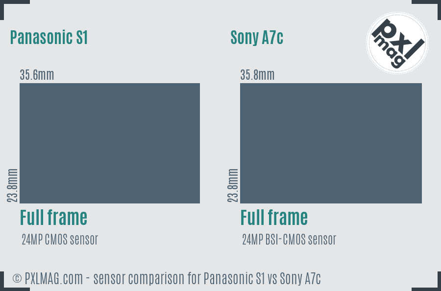 Panasonic S1 vs Sony A7c sensor size comparison
