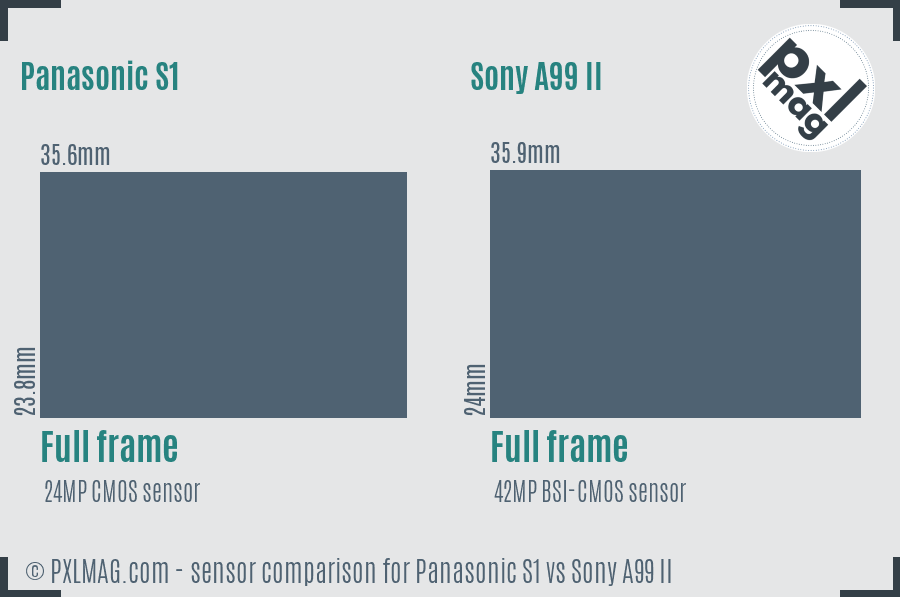 Panasonic S1 vs Sony A99 II sensor size comparison