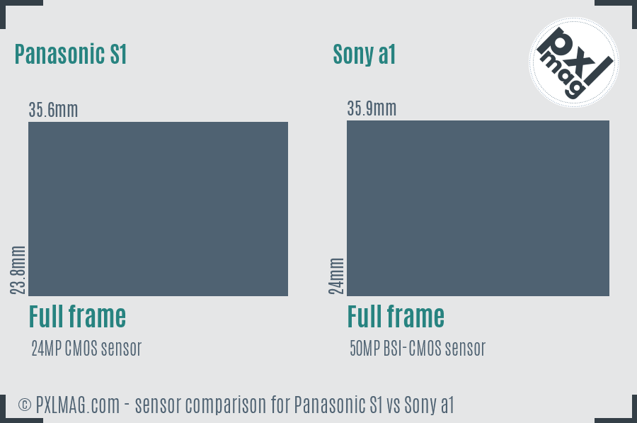 Panasonic S1 vs Sony a1 sensor size comparison