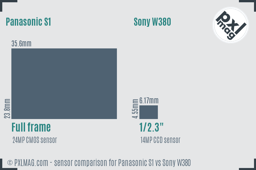 Panasonic S1 vs Sony W380 sensor size comparison